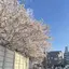 ミンのプロフィール画像