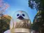 フクロウのプロフィール画像