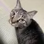 orichanのプロフィール画像