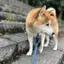 理恵のプロフィール画像