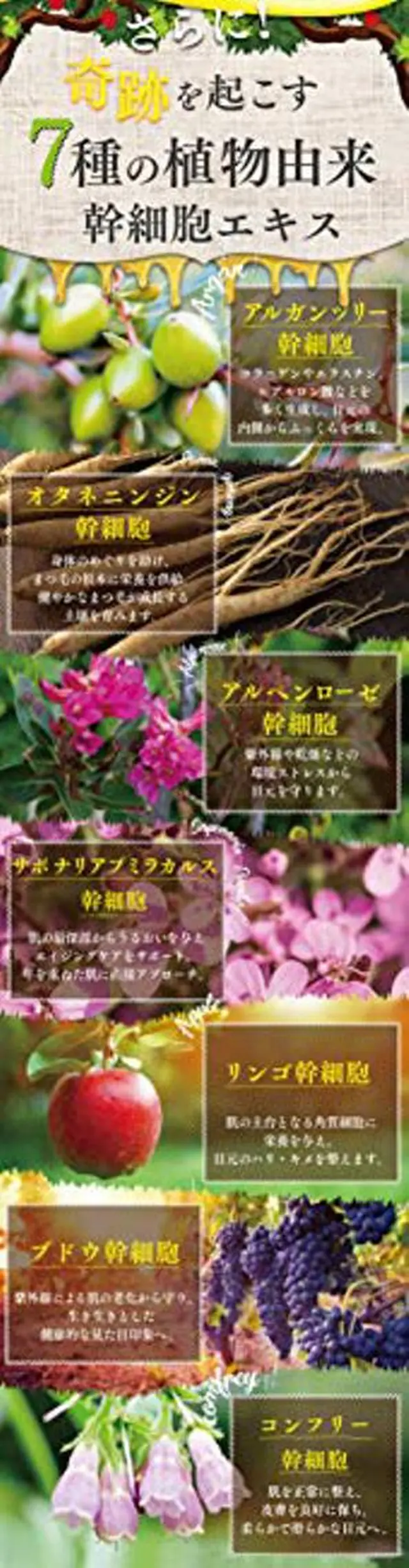 マツエク・マツパ 神山 ビューティー・アイのマツエク・マツパデザイン