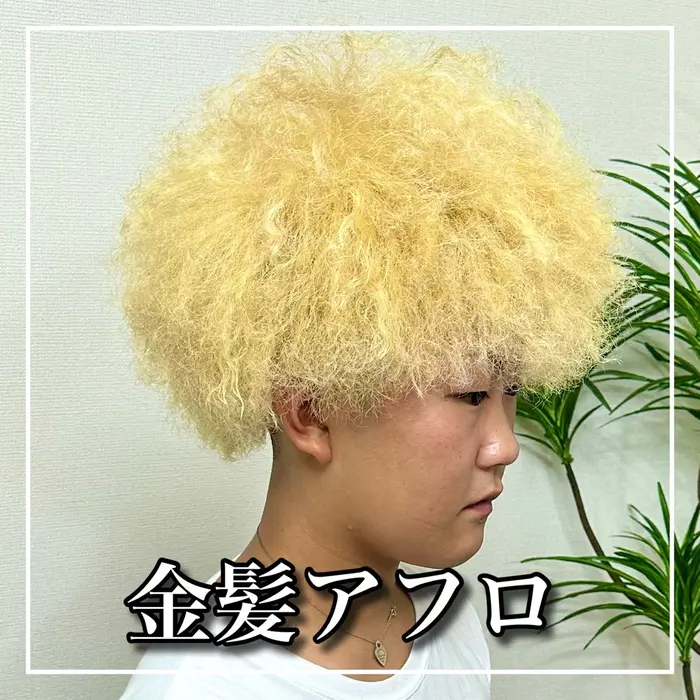 ヘアスタイル・髪型カタログ「【金髪アフロ】」by和田 魁【トップ