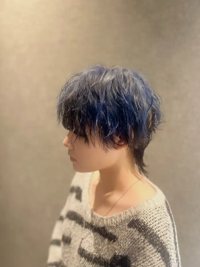 ヘアスタイル・髪型カタログ「セクションカラー ネイビー×ブラック