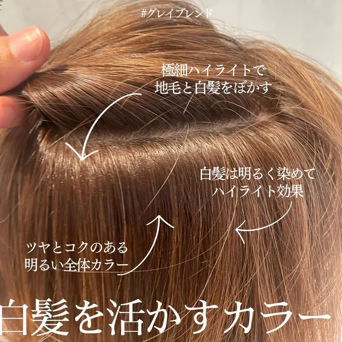 白髪ぼかし#白髪ぼかしカラー⁣ #白髪ぼかし表参道#明るい白髪染め