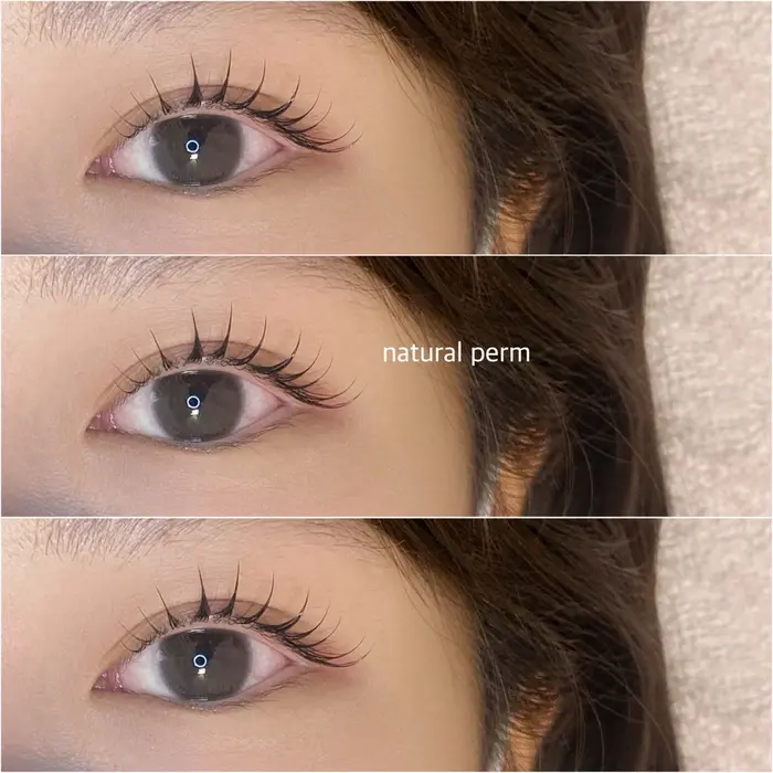 メーテルカールデザイン しっかり立ち上げ まつげパーマ ♡ #パリ