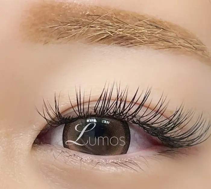 フラットセーブル150本｜Lumos nail&eyelash所属・Lumos Ayakaの