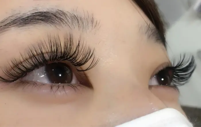 マツエク    J C D  3Dプリメイドボリュームラッシュ値下げ 楽天市場】【3D 4D 5D 6D ボリュームラッシュ】【まつげエクステ