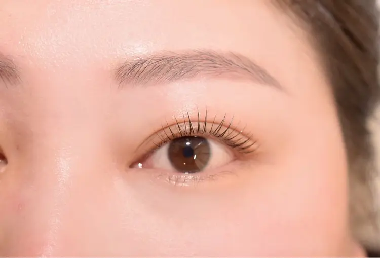 Dipra   eyelash &browの内観・外観2