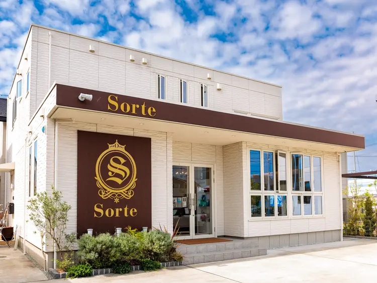 Sorteの内観・外観1