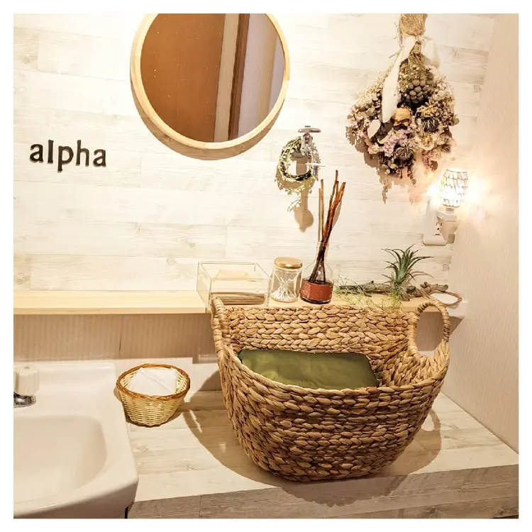 alphaの内観・外観3