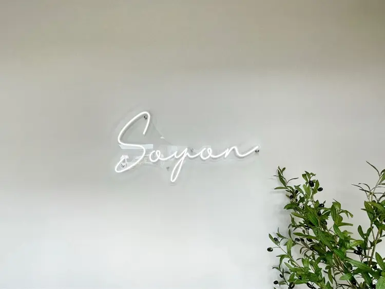 SOYON 土橋2号店の内観・外観2