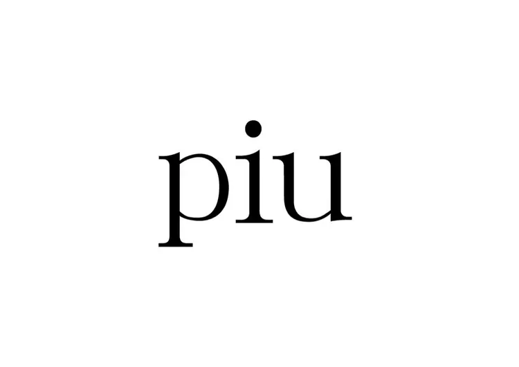 piuの内観・外観3