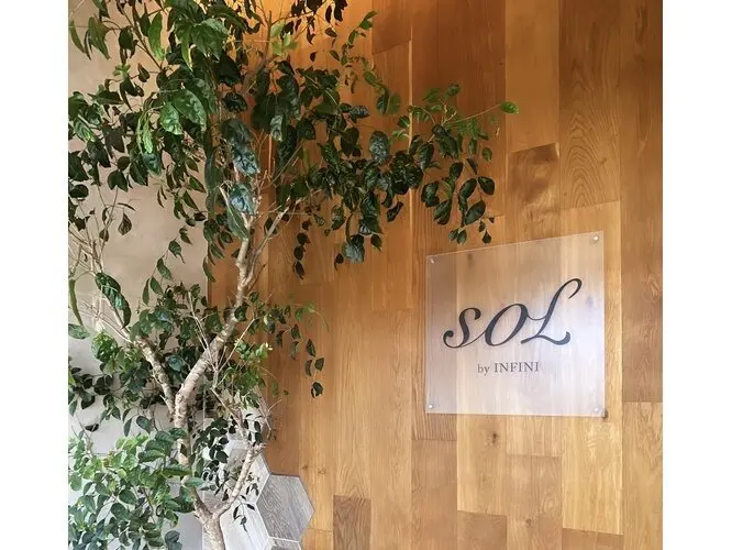 SOL by INFINIの内観・外観3