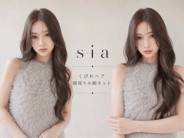 siaの内観・外観3