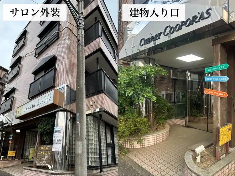 Dolceの内観・外観1