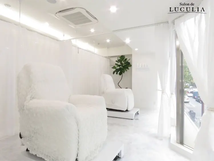 Salon de LUCULIAの内観・外観1