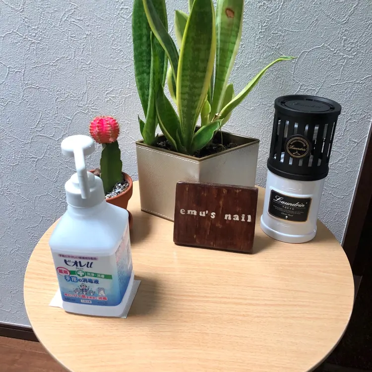 émus nailの内観・外観1