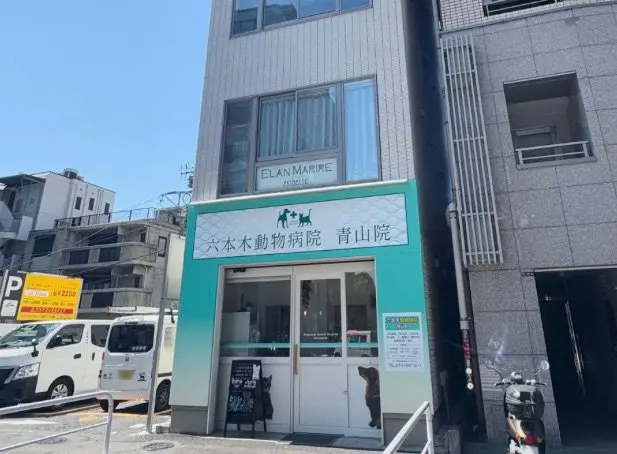 ELAN MARIREの内観・外観1