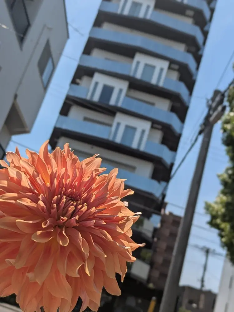 ゆるりやの内観・外観1