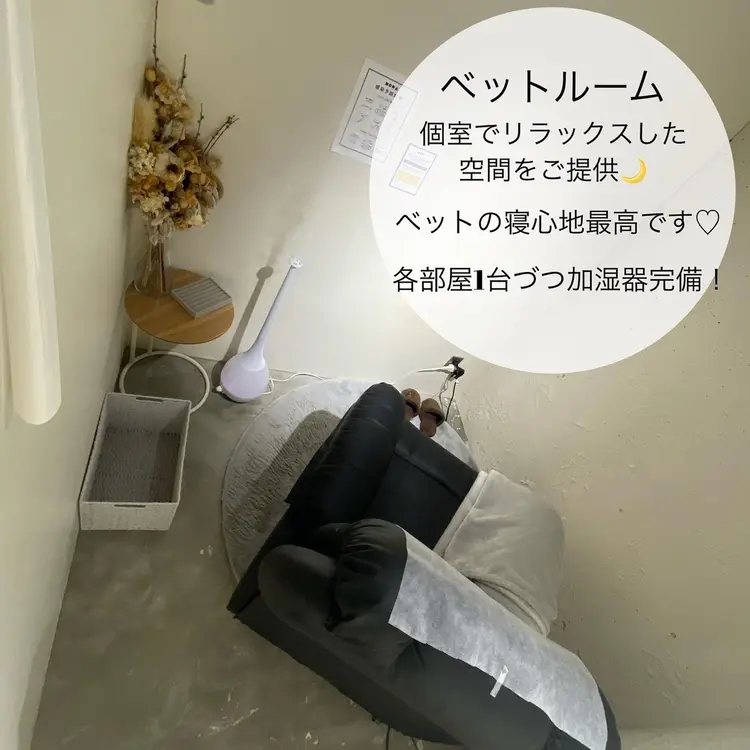 NORA SHIBUYAの内観・外観3