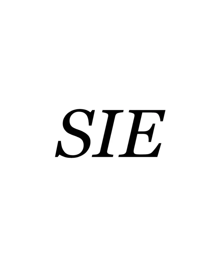 SIEの内観・外観3