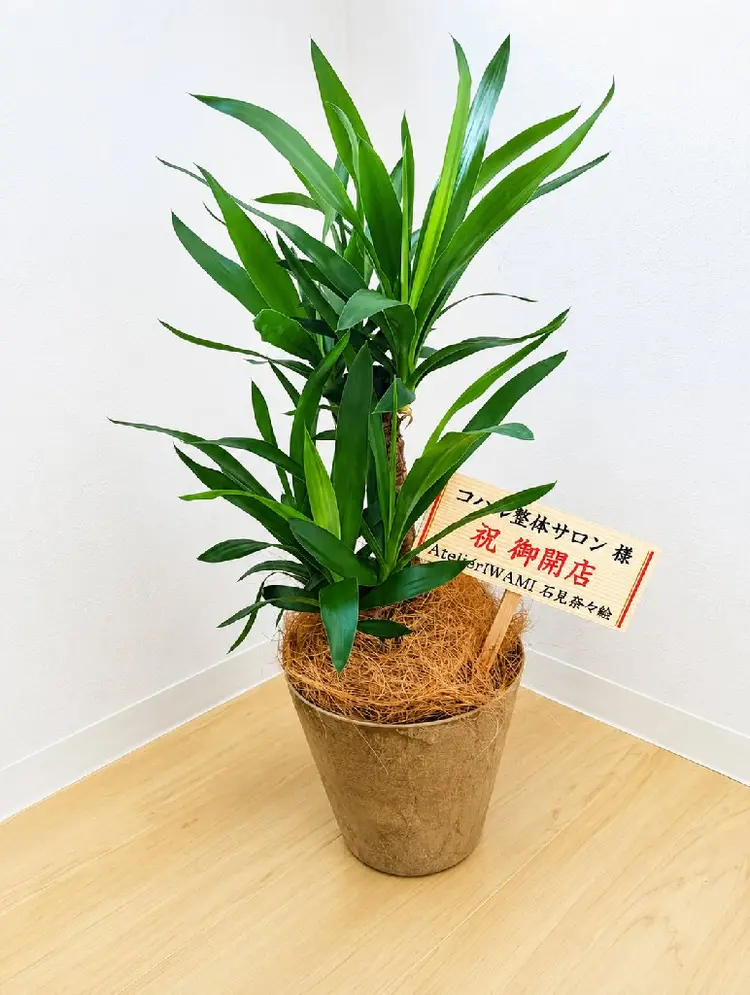 コハル整体サロンの内観・外観2