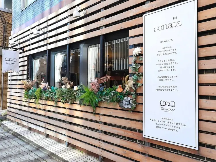sonataの内観・外観1