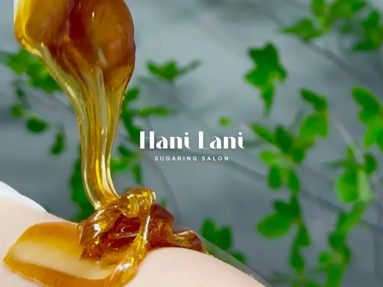Hani Laniの内観・外観3