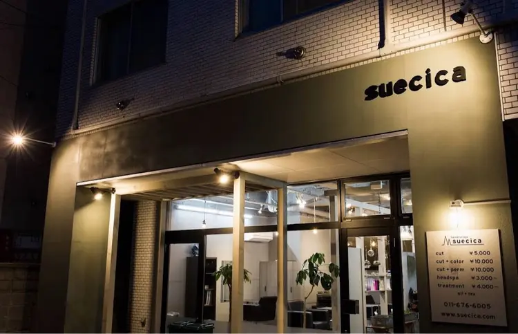 suecicaの内観・外観1