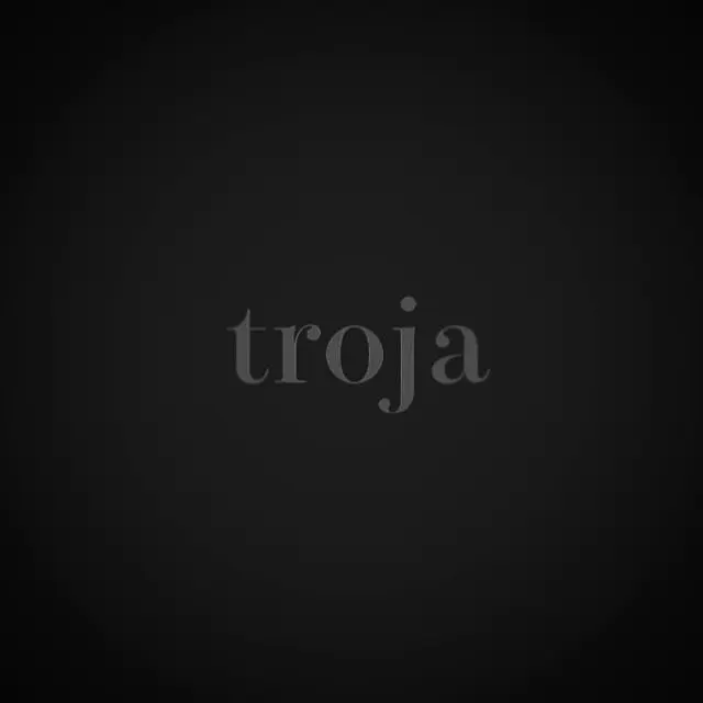 trojaの内観・外観2