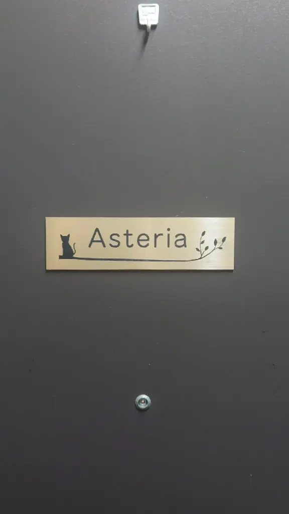 Asteriaの内観・外観3