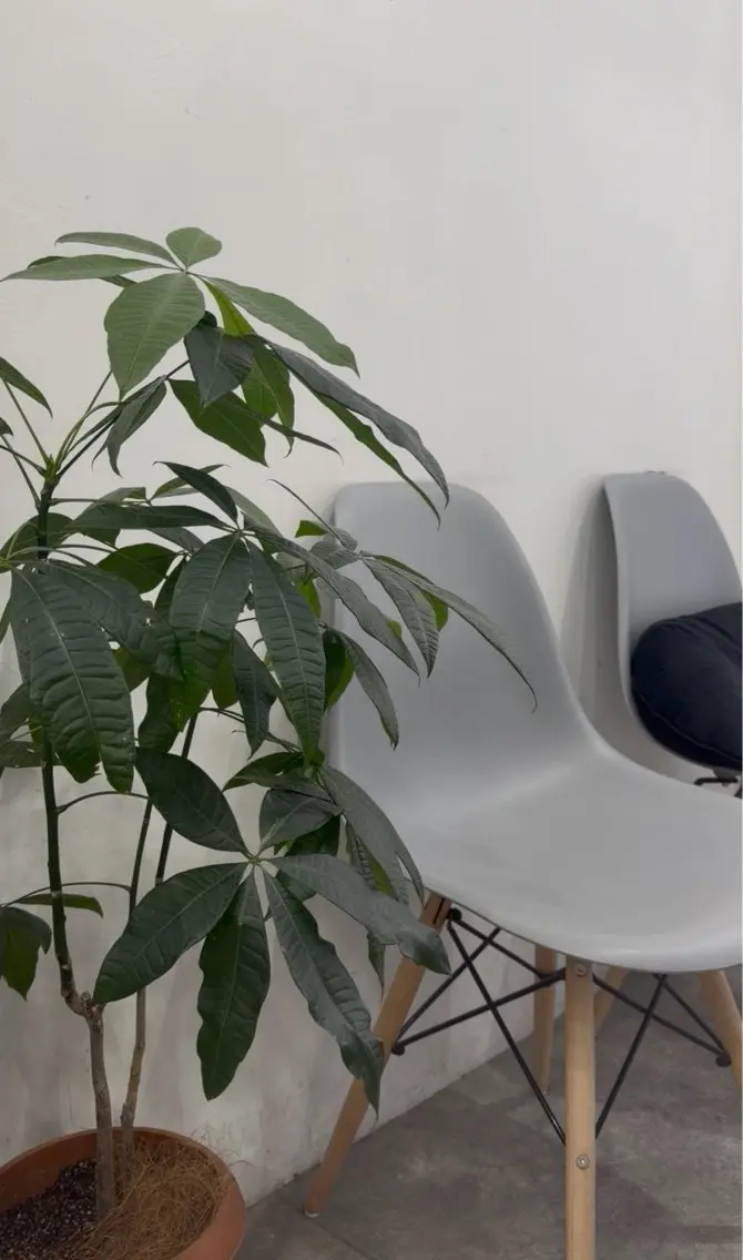 Hair studio Zenの内観・外観1