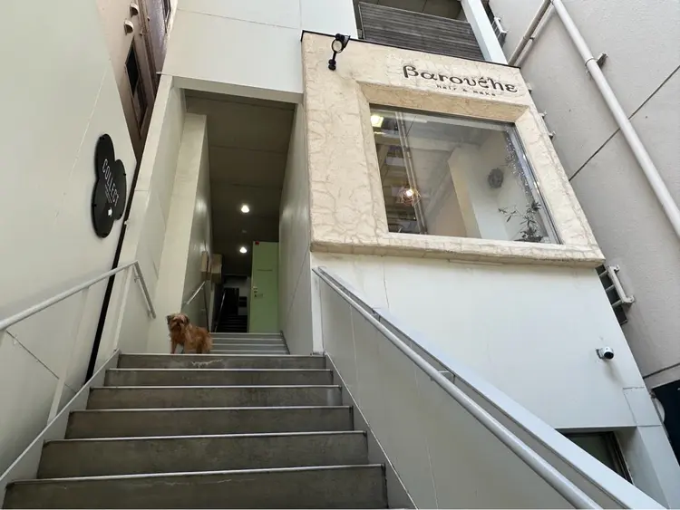 Baroucheの内観・外観1