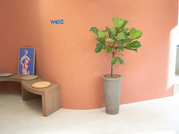 welcの内観・外観1