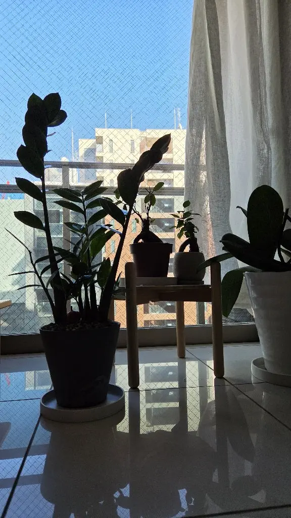 norafu.の内観・外観2