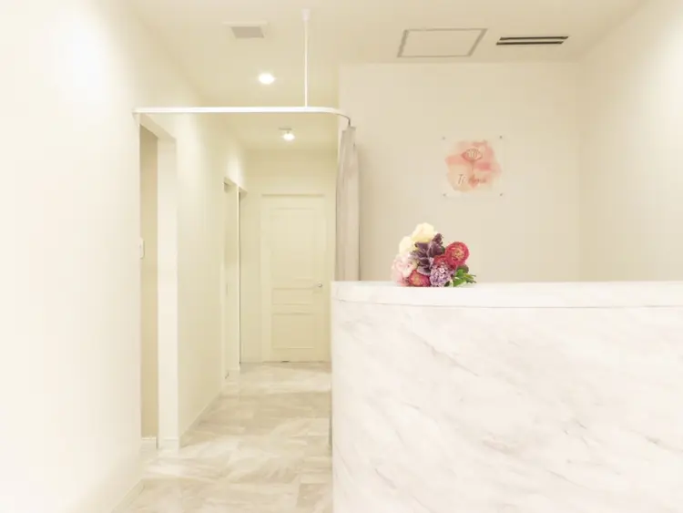 【バストアップ専門店】Luxury Salon Ti Amo(ティアモ)の内観・外観2