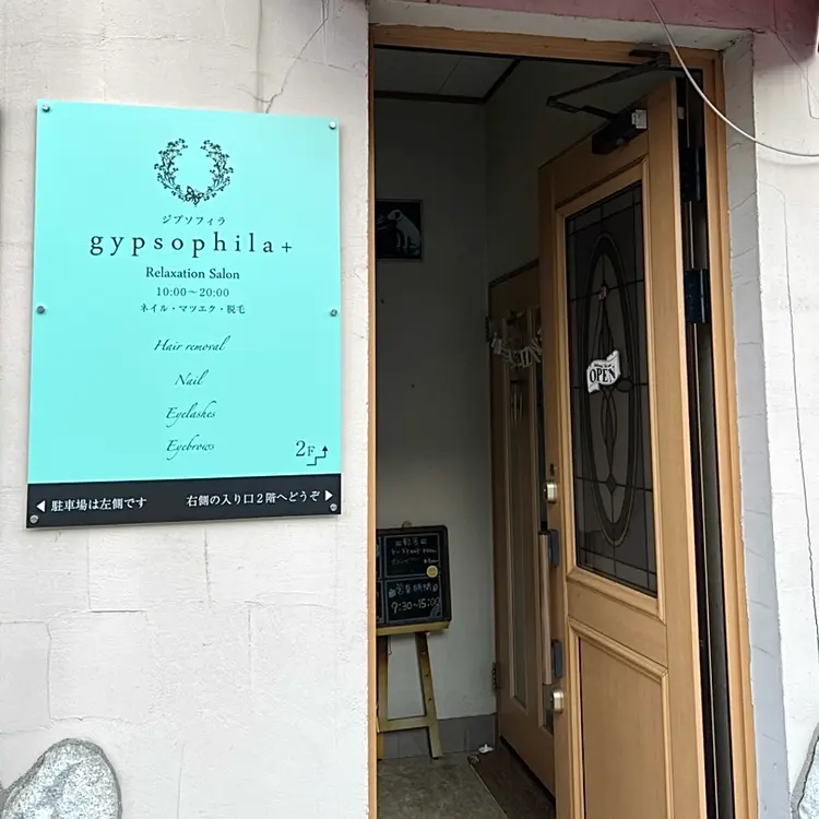gypsophila+(ジプソフィラ)の内観・外観2