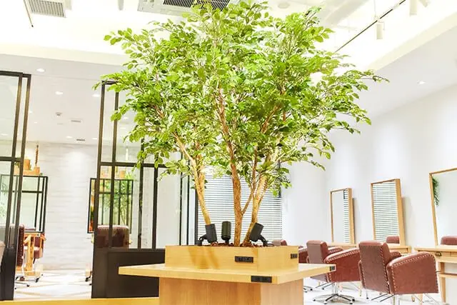 ローネス 銀座の内観・外観1