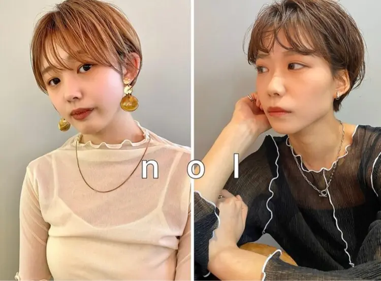 nol【ノル】(旧:HARU 円山 【ハル マルヤマ】)の内観・外観3