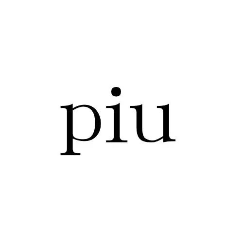 piuの内観・外観1