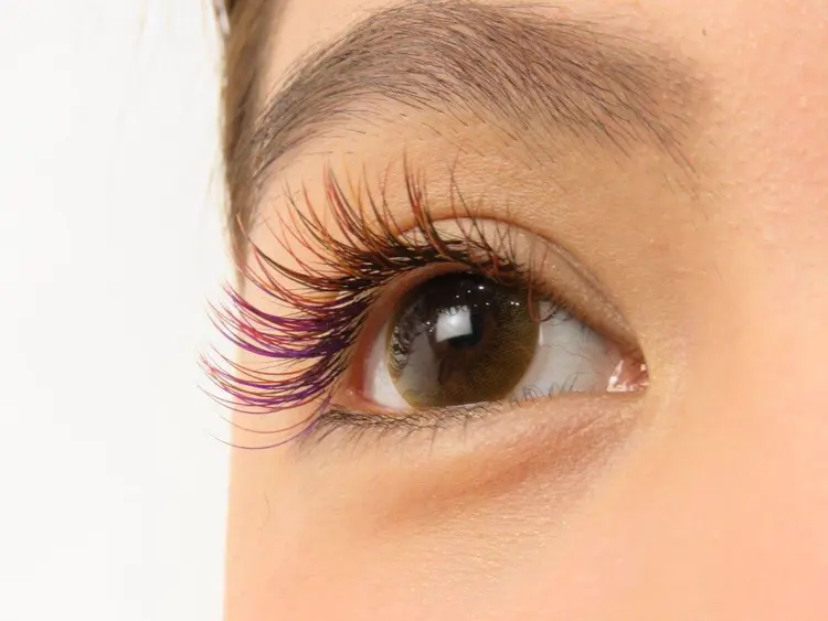 mailo eyelashの内観・外観2