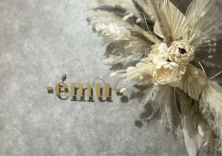 émuの内観・外観2