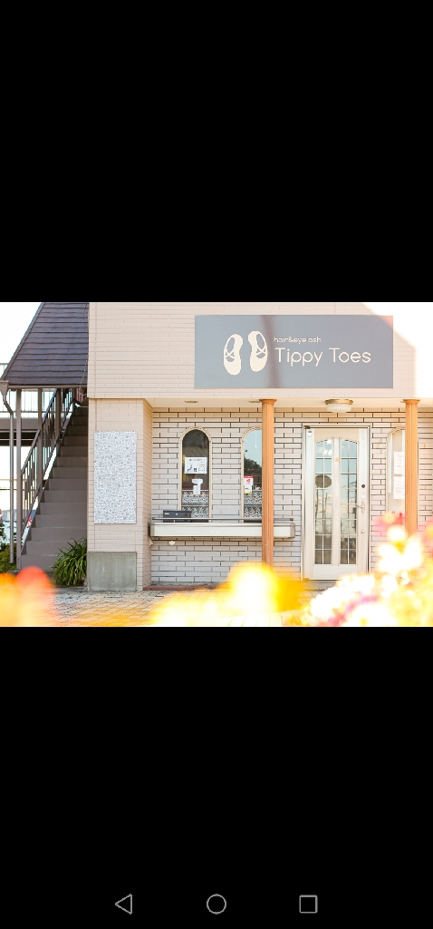 Tippy Toesの内観・外観1
