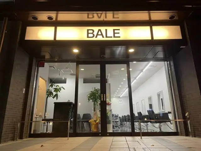髪質改善&ハイトーンカラー BALEの内観・外観1