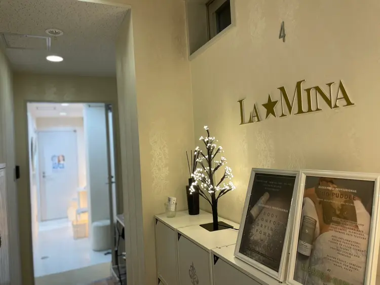 ブラジリアンワックス＆シュガーリング脱毛LaMina 新宿店の内観・外観1