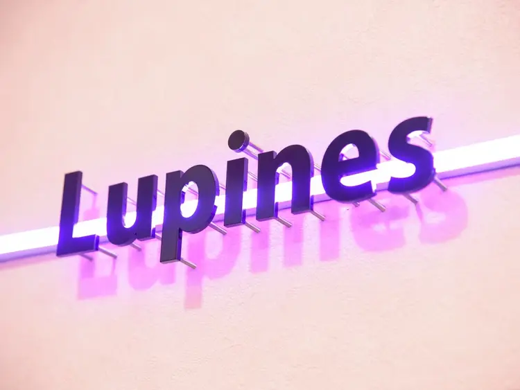 Lupines by ONE’sの内観・外観1