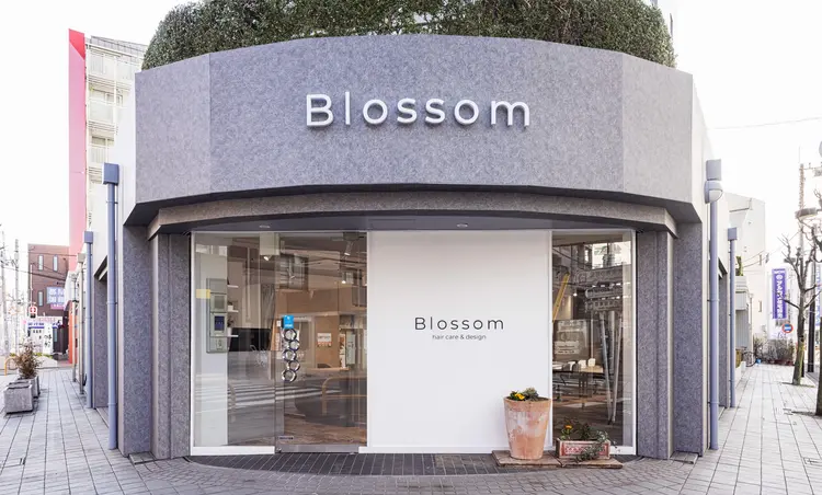 ブロッサム保谷店の内観・外観1