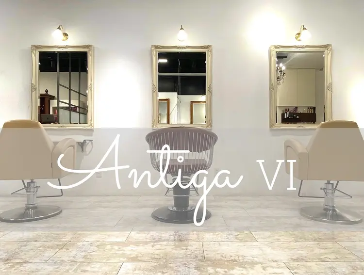 Antiga VIの内観・外観1