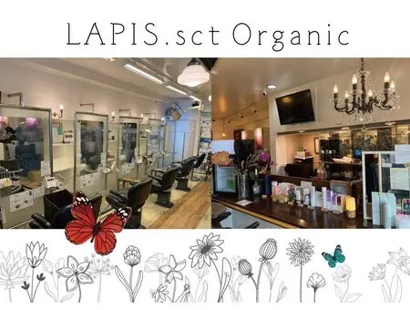 LAPIS.sct organic南一の沢店の内観・外観3