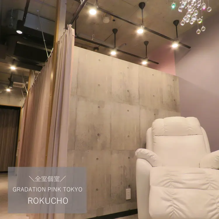 GRADATION PINK  TOKYOの内観・外観1